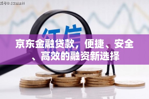 保亭京东金融贷款，便捷、安全、高效的融资新选择