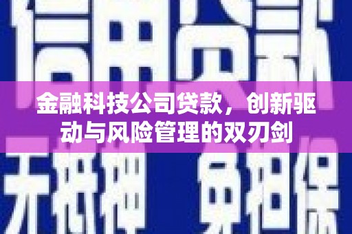 保亭金融科技公司贷款，创新驱动与风险管理的双刃剑