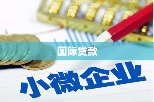 保亭国际贷款